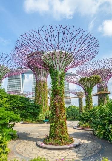 Singapore Financial District Office